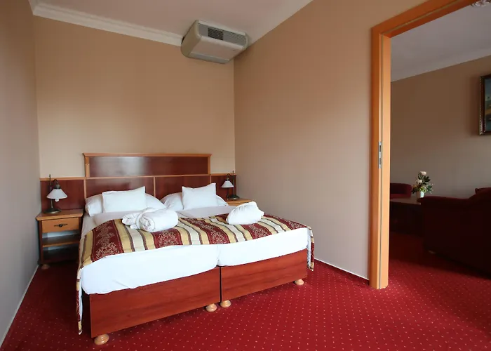 ホテル Wellness Laroba 4*