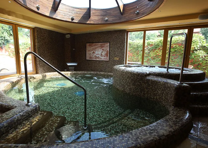 Wellness Laroba ホテル 4*