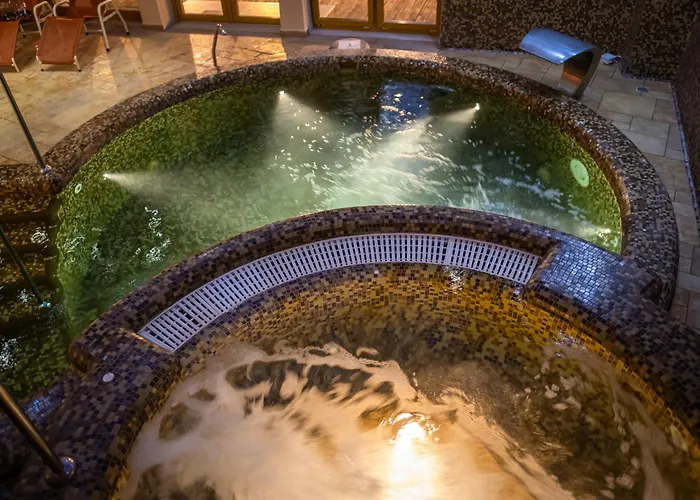 Hotel Wellness Laroba 4*